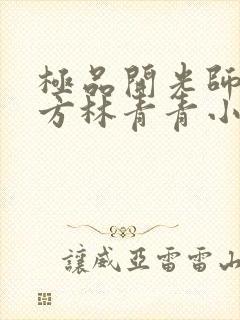 极品开光师李南方林青青小说免费阅读