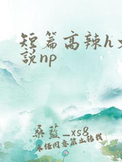 短篇高辣h文小说np
