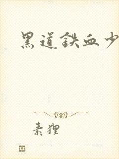 黑道铁血少年