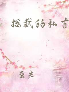 总裁的私有宝贝