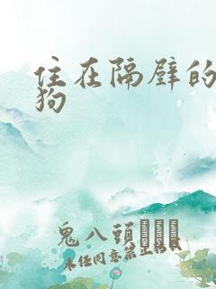 住在隔壁的小狼狗