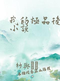 我的极品后宫 小说