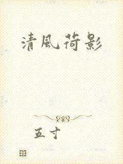 清风荷影