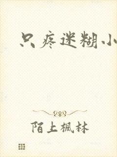 只疼迷糊小甜妻