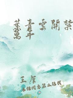 叶青云关禁闭一万年