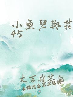 小鱼儿与花无缺45