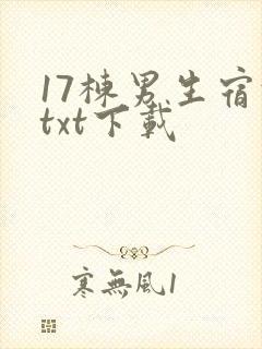 17栋男生宿舍txt下载