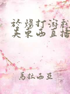 于炀打游戏下面夹东西直播