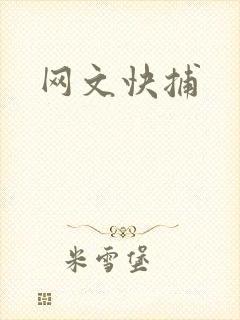 网文快捕