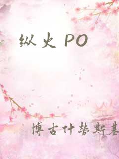 纵火 PO