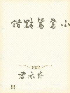 错点鸳鸯小说
