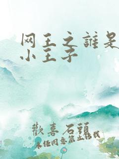 网王之谁是我的小王子
