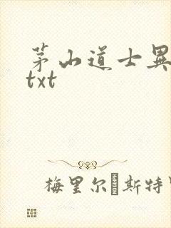 茅山道士异界游txt