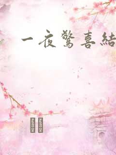 一夜惊喜结局