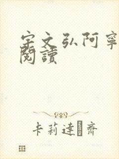 宇文弘阿宁全文阅读