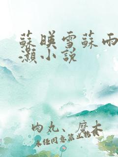 苏映雪苏雨柔苏灏小说