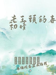老王头的春天林初晴