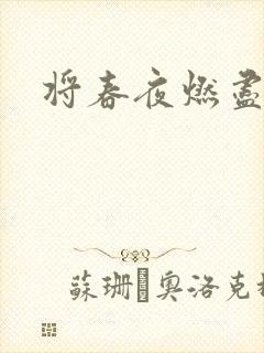 将春夜燃尽