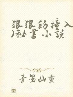 狠狠的撞入(h)秘书小说