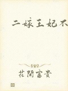 二嫁王妃不好惹