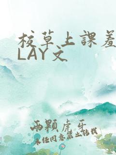 校草上课羞耻PLAY文