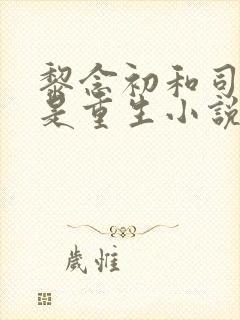 黎念初和司慕城是重生小说