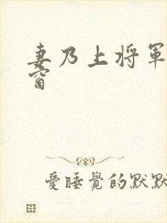 妻乃上将军无弹窗