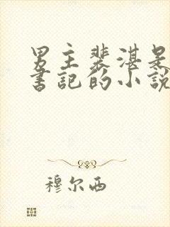 男主裴湛是省委书记的小说