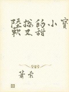 陆总的小宝贝又软又甜