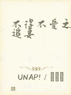 不得不爱之冷少追妻