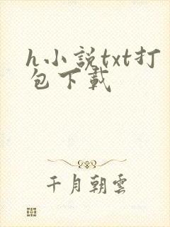h小说txt打包下载