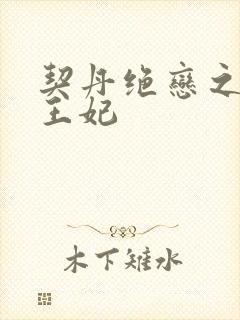 契丹绝恋之代嫁王妃