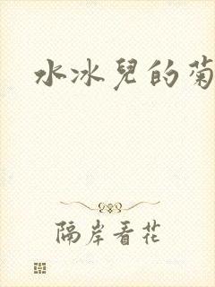 水冰儿的菊花