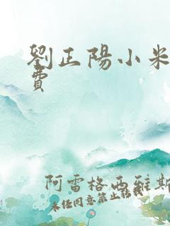 刘正阳小米多免费