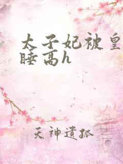 太子妃被皇上强睡高h