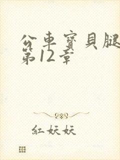 公车宝贝腿开点第12章