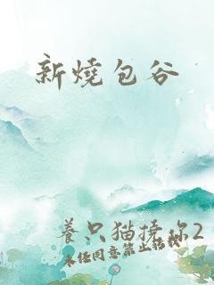 新烧包谷
