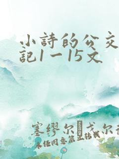 小诗的公交车日记1一15文