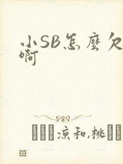 小SB怎么欠C啊