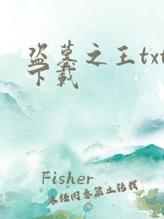 盗墓之王txt下载