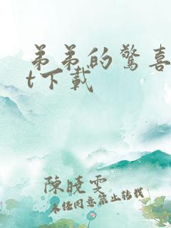 弟弟的惊喜txt下载