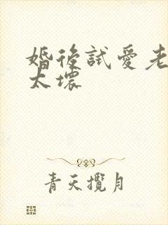 婚后试爱老公别太坏