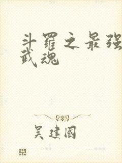 斗罗之最强治疗武魂