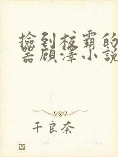 捡到校霸的遥控器顾泽小说免费阅读