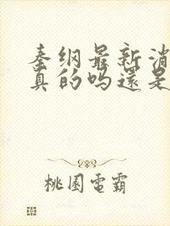 秦纲最新消息是真的吗还是假的