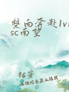 双向奔赴1v1sc南望
