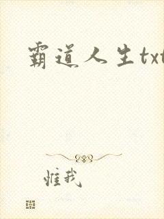 霸道人生txt