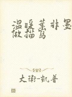 温暖叶非墨车内做描写