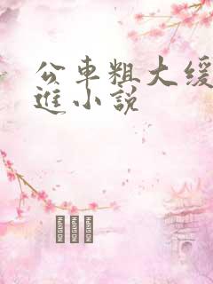 公车粗大缓缓挤进小说