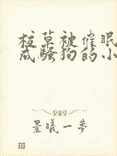 校草被催眠洗脑成骚狗的小说